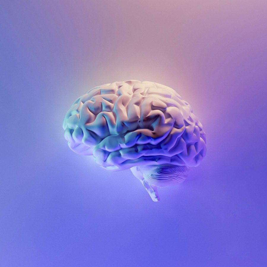 landsc-4x3-cover-z88764